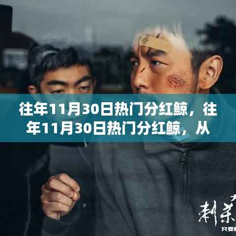 往年11月30日热门分红鲸,掌握分红策略的全步骤指南