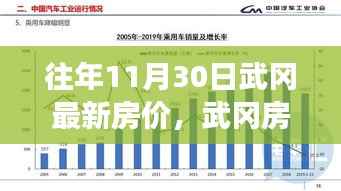 武冈房价走势揭秘,历年数据与个人洞察聚焦往年11月30日最新房价动态