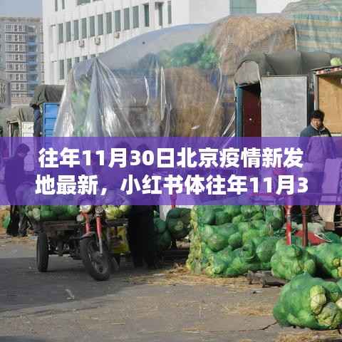 小红书视角下的北京疫情新发地深度解析,历年数据对比与最新动态分析(往年篇)