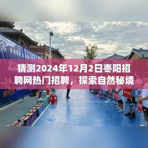 枣阳招聘网热门职位预测之旅,探索自然秘境,追寻内心平静之旅(2024年预测)