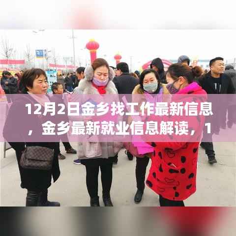 12月2日金乡就业最新信息解读,市场趋势、个人观点与求职指南