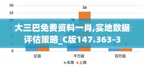 大三巴免费资料一肖,实地数据评估策略_C版147.363-3