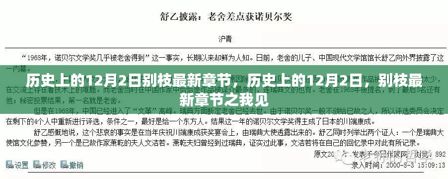 历史上的12月2日,别枝最新章节深度解析及观感分享