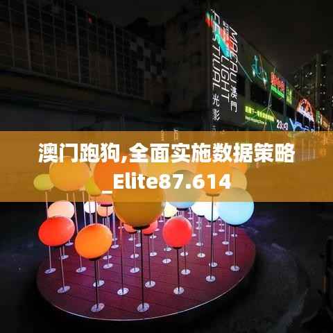 澳门跑狗,全面实施数据策略_Elite87.614