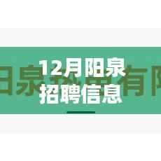 12月阳泉热门招聘信息全面解析与评测