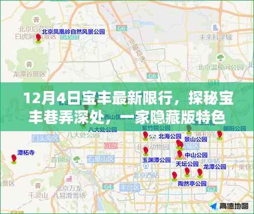 揭秘宝丰限行下的独特风情,隐藏版特色小店探秘