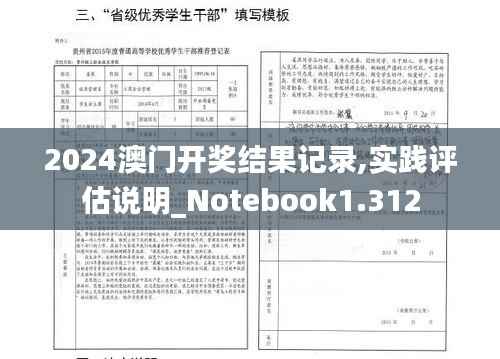 2024澳门开奖结果记录,实践评估说明_Notebook1.312