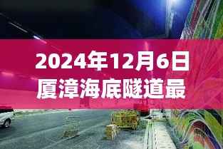 2024年厦漳海底隧道最新进展,跟进项目动态与参与讨论全攻略