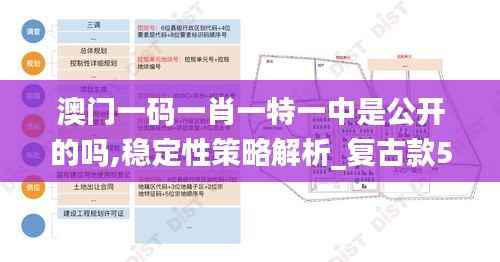 澳门一码一肖一特一中是公开的吗,稳定性策略解析_复古款5.676