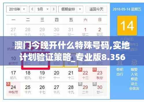 澳门今晚开什么特殊号码,实地计划验证策略_专业版8.356