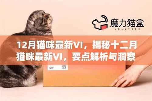 揭秘十二月猫咪最新VI设计与要点解析