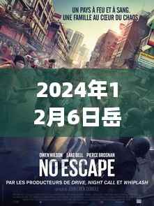 岳云彭最新电影,小巷深处的宝藏与独特小店的故事(2024年12月6日)