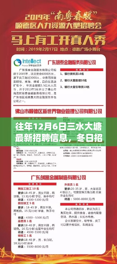 大塘温暖招聘季,冬日岗位与友情热忱相拥