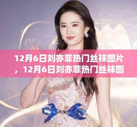 12月6日刘亦菲热门丝袜图片,网络热议背后的深思