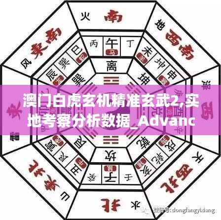 澳门白虎玄机精准玄武2,实地考察分析数据_Advance17.705