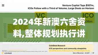 2024年新澳六舍资料,整体规划执行讲解_PalmOS2.734