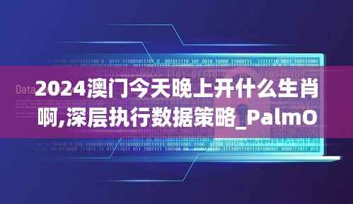 2024澳门今天晚上开什么生肖啊,深层执行数据策略_PalmOS10.531