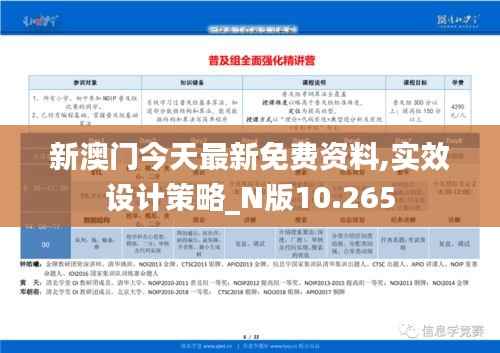 新澳门今天最新免费资料,实效设计策略_N版10.265