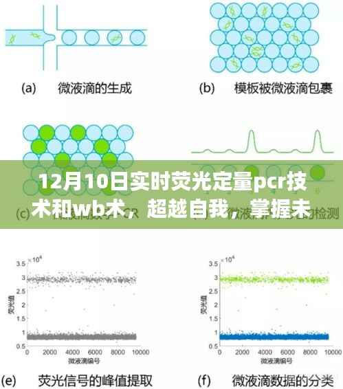 实时荧光定量PCR技术与WB术的魅力之旅,超越自我,掌握未来技术