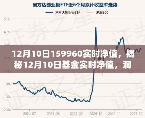 揭秘金融奥秘,12月10日基金实时净值解析与洞察(净值,159960)