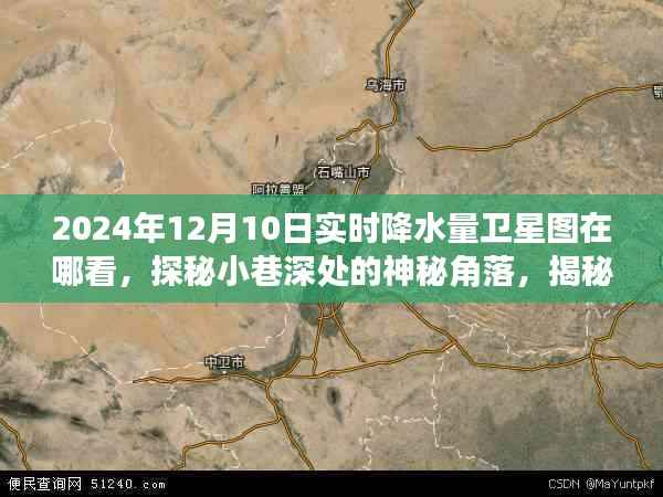 探秘小巷深处特色小店与实时降水量卫星图揭秘,如何观看2024年12月10日卫星图实况