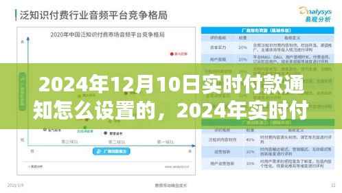 探究最佳实践与策略,实时付款通知设置详解及实时付款通知设置策略(适用于2024年)