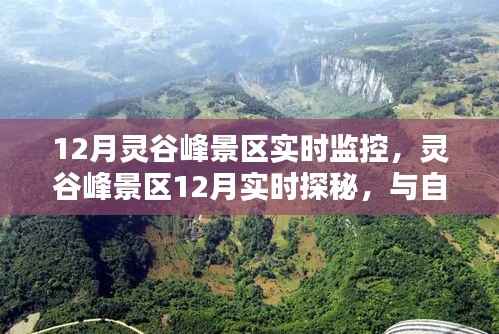 灵谷峰景区12月实时探秘,与自然共舞,追寻宁静桃花源