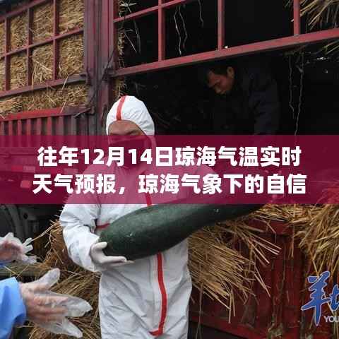 历年十二月十四日琼海气温实时天气预报,气象挑战与成就见证琼海的自信与成长之路
