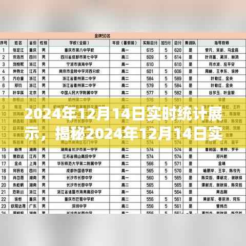 揭秘，2024年12月14日实时统计展示背后的秘密全解析