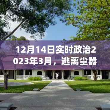 心灵之旅,逃离尘嚣探寻自然美景,启程于三月政治风云变幻之时