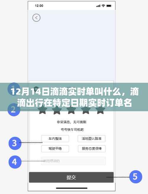 滴滴出行特定日期实时订单名称揭秘,12月14日滴滴实时单命名解析