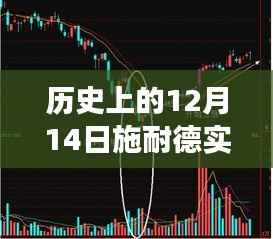 施耐德股价行情回顾,历史12月14日的股市风云与难忘记忆