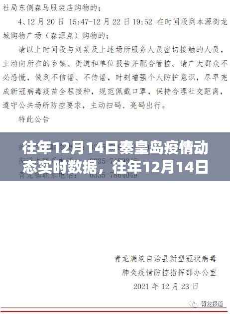 多维度视角下的审视与观点阐述,往年秦皇岛疫情动态实时数据回顾(历年12月14日篇)