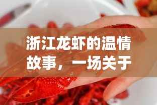 浙江龙虾的友情与陪伴，实时报价的温情之旅