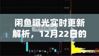 闲鱼曝光机制深度解析,实时更新与12月22日曝光机制探讨