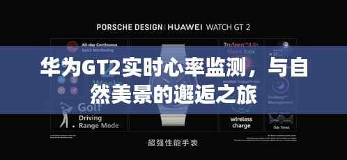 华为GT2实时心率监测,邂逅自然美景的健康护航之旅
