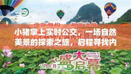 小猪掌上实时公交,自然美景之旅,探寻内心的宁静与平和