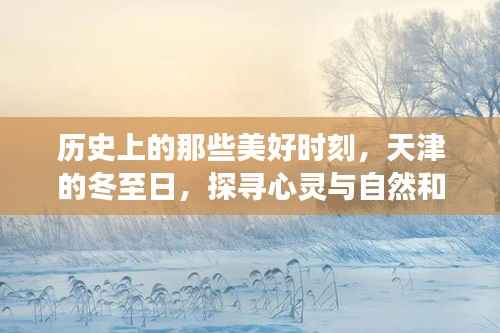 天津冬至日的心灵与自然和谐之旅,探寻历史美好时刻