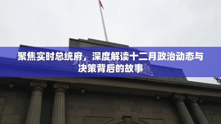 聚焦总统府,十二月政治动态与决策深度解读