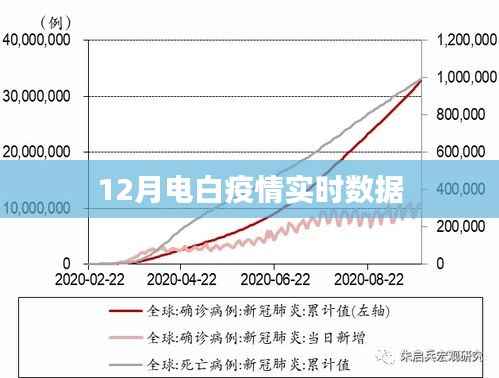 电白疫情最新实时数据播报