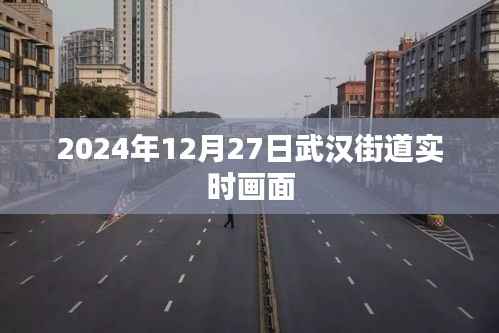 武汉街道实时画面,2024年冬日的繁华街道