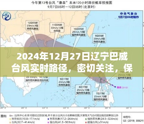 辽宁巴威台风最新路径更新,实时关注保障安全
