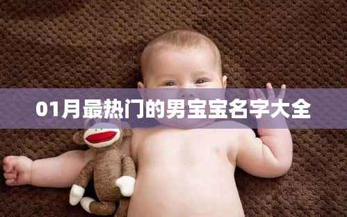 男宝宝热门名字大全,精选一月热门好名