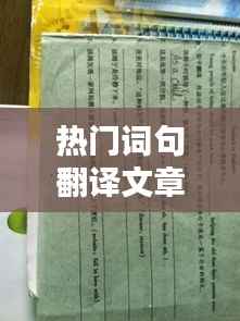 热门词句翻译文章概览