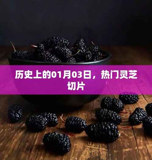 热门灵芝切片的历史起源,一月三日回顾