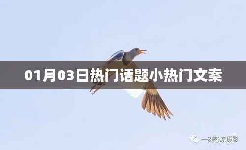 热门话题聚焦,精选小文案,每日热议