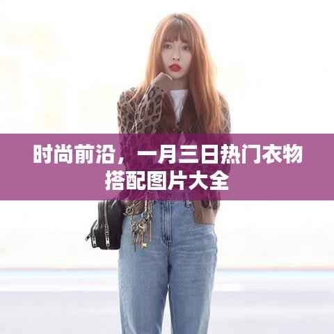 时尚前沿,一月三日衣物搭配图片大全解析