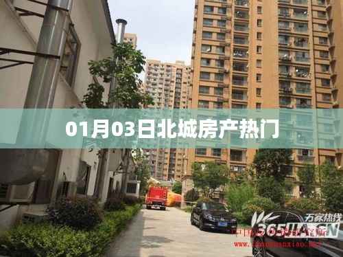 北城房产热门资讯,01月03日最新动态