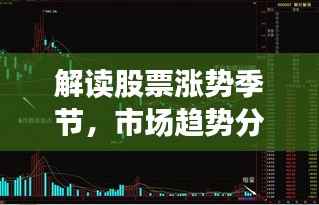 解读股票涨势季节,市场趋势分析与春季投资机会揭秘
