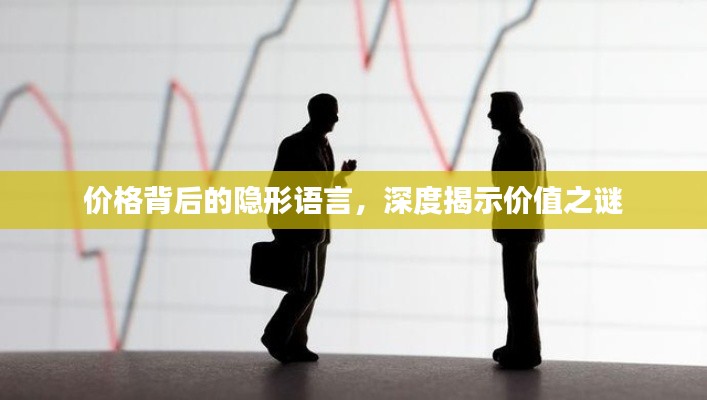 价格背后的隐形语言，深度揭示价值之谜